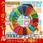 SDGs バッジ 国連 本部限定 本物 正規品 17の目標 ピンバッジ バッチ バッヂ 丸 丸型 2個