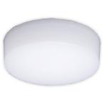 ショッピング在庫処分 SCL4N-E 在庫処分 アイリスオーヤマ IRIS OHYAMA 小型LEDシーリングライト 昼白色 管43195