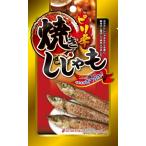 �Ƥ��������(�ԥ��) 20g/�� ����եȤ������ ��ɻ� �ӡ��롢�ϥ��ܡ������Τ��Ĥޤߤ� 4571287015972��WIN��