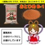 日清丸紅飼料おとひめB1100g沈...
