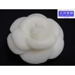 CHANEL Chanel черепаха задний свеча Novelty коробка как новый товар [ бесплатная доставка ] A-7149