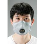 ショッピングn95マスク エスコ ESCO  【個人宅不可】 ［N 95］ マスク（10枚） EA800MJ-4A [2-0587397]