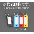 エスコ ESCO  【個人宅不可】 22x53mm ネームタグ（ブルー） EA956VL-2 [2-5797718]