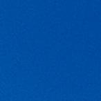 山本光学 スワン YAMAMOTO レーザー光用シールドウィンドウ YL-500 LASER DIODE [24-0000400]