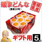  принцесса . какой подарок для 5kg