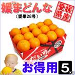  принцесса . какой выгода для 5kg