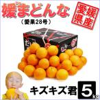 媛まどんな キズキズ君 5ｋｇ