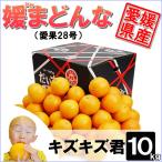 媛まどんな キズキズ君 10kg