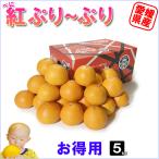 紅ぷり〜ぷり　お得用　5ｋｇ