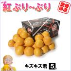 紅ぷり〜ぷり　キズキズ君　5ｋｇ