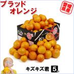  Ehime префектура производство b Lad orange царапина царапина .5kg