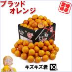 愛媛県産 ブラッドオレンジ キズキズ君10ｋｇ