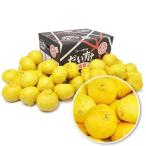 ショッピング甘平 媛小春　キズキズ君　5ｋｇ