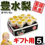 豊水梨 ギフト用 5kg