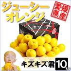 ジューシーオレンジ キズキズ君10kg