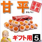 甘平 ギフト用 5ｋｇ