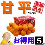 ショッピング甘平 甘平 お得用 5ｋｇ