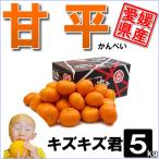 ショッピング甘平 甘平 キズキズ君 5ｋｇ