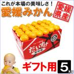  Ehime мандарин подарок для 5kg