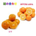 ショッピング甘平 詰め合わせ（甘平+宮内伊予柑）