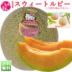 メロン つがりあんメロン つがるメロン 常温便 送料無料 青森県産 スウィートルビー メロン 2玉入 2〜3kg 化粧箱 ご贈答用 暑中見舞い 残暑見舞い 爆買