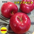 ショッピング10kg りんご 10kg ご家庭用 青森県産 シナノスイート 10kg 送料無料 りんご 10Kg ご家庭用 お試し シナノスイート 青森 生食用 SDGS