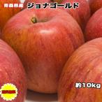 ショッピングわけあり りんご 訳あり 10kg箱 青森県 ジョナゴールド 10kg前後 送料無料 ご家庭用 糖度保証 青森県産 青森県 糖度保証 毎日の健康の為にそのままでもジュースにしても