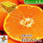  мандарин 4.5kg.. мандарин Arita AQ бесплатная доставка Wakayama Arita мандарин превосходящий товар 2L размер 4.5kg.. для подарок Arita мандарин подарок по случаю конца года подарок 