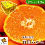  мандарин маленький шар 10kg.. мандарин Arita AQ бесплатная доставка Wakayama Arita мандарин превосходящий товар 2S размер 10kg.. для подарок Arita мандарин подарок по случаю конца года подарок 