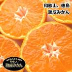 みかん 訳あり 10kg 送料無料 和歌山県 または 徳島県産 熟成 みかん Mサイズ 10kg ご家庭用 送料無料 訳あり みかん 10Kg