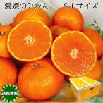 みかん 温州 訳あり 中玉 10kg箱 送料無料 産地直送 愛媛県産 温州みかん S-Lサイズ 10kg サイズ混合