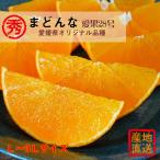 みかん まどんな 産地直送 愛媛県産 まどんな 秀品 約3kg 化粧箱入 サイズ指定不可 L-15玉/2L-12玉/3L-10玉