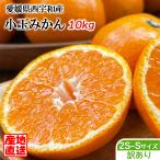 みかん 訳あり 小玉 10kg 西宇和 送料無料 産地直送 愛媛県産 西宇和みかん 小玉 S-2Sサイズ 10kg 混合 愛媛みかん 温州みかん