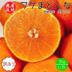 みかん まどんな 訳あり 産地直送 愛媛県産 ワケまどんな 3kg L-3L サイズ混合 送料無料