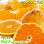 しらぬい 不知火 小玉 