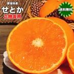  высококлассный ... или мандарин бесплатная доставка ... жирный тунец Ehime префектура . или превосходящий товар L размер 25 шар входить ... для мандарин пробный бесплатная доставка . покупка 