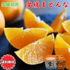 紅まどんな あいか 送料無料 愛媛県 愛媛まどんな みきゃん箱 Lサイズ 2.5kg JAの正規品 あいか 愛果28号 ご家庭用 バラ詰 お歳暮 ギフト 予約