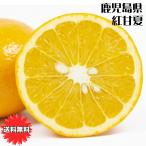 .. лето мандарин 5Kg... для бесплатная доставка Кагосима префектура производство .. лето превосходящий товар 2L размер 5kg подарок .. для . покупка 