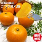 さつき はっさく 紅八朔 みかん 5Kg 送料無料 和歌山県産 有田 さつき 紅八朔 秀品 2Lサイズ 5kg ギフト べにはっさく【4月中旬頃】