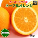 オレンジ ネーブル 送料無料 オーストラリア産 ネーブルオレンジ 5kg 糖度保証 22玉前後 爆買