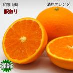 清見 オレンジ 10kg 訳あり 和歌山県