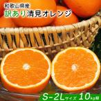 清見 訳あり 小玉 オレンジ 10kg箱 送料無料 和歌山県産 清見 オレンジ S-2Lサイズ 約10Kg 傷有り 清見タンゴール きよみ 爆買