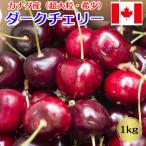 お中元 さくらんぼ アメリカンチェリー カナダ産 超大粒 1kg 高級アメリカンチェリー ダークチェリー 【8月上旬〜9月上旬の出荷予定】 送料無料 03600K