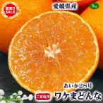 初売り セール 無選別 早い者勝ち 激安 まどんな 訳あり 送料無料 愛媛県産 ワケまどんな 5kg サイズ指定不可 (紅まどんなと同品種) 傷あり