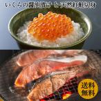 Yahoo! Yahoo!ショッピング(ヤフー ショッピング)鮭 いくら しょうゆ漬け さけ イクラ ギフト 送料無料 国産 北海道 いくら しょうゆ漬け 250g ロシア産 天然 紅鮭 80g 3切れ セット  いくら さけ 海産物