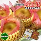 梨 南水梨 送料無料 信州 長野県産 南水梨 秀品 化粧箱入り 5玉または6玉入 JAみまみ信州 正規品 南水 なし ナシ ギフト 贈答用