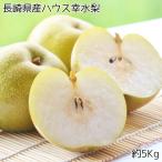 幸水梨 長崎県産 ハウス 幸水梨 送料無料 訳あり 5Kg 家庭用 なし 梨 ナシ