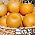 敬老の日 梨 なし 訳あり 5kg 鳥取県産 豊水 梨 5kg 8〜20玉 送料無料 お試し 訳あり 梨 豊水 敬老の日 ギフト