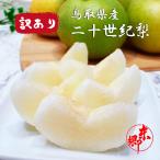 梨 なし 20世紀 東郷 訳あり 鳥取県産 20世紀 東郷 約5Kg 鳥取ブランド ご家庭用 二十世紀 20世紀梨 送料無料