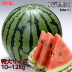 大感謝セール すいか 3500円を2980円 すいか スイカ 訳あり 秋田県産 夏丸 西瓜 10~12kg 常温便 送料無料 お試し あきた夏丸 大玉 西瓜 ギフト お中元